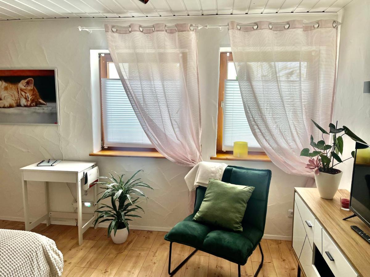 Apartment Balingen City Zewnętrze zdjęcie